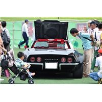 tcf150524 (80).JPG